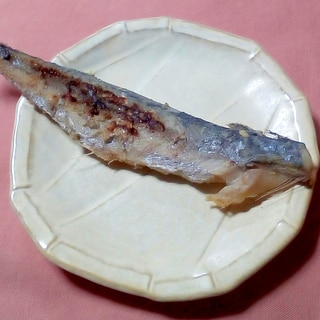 サゴシの塩麹焼き